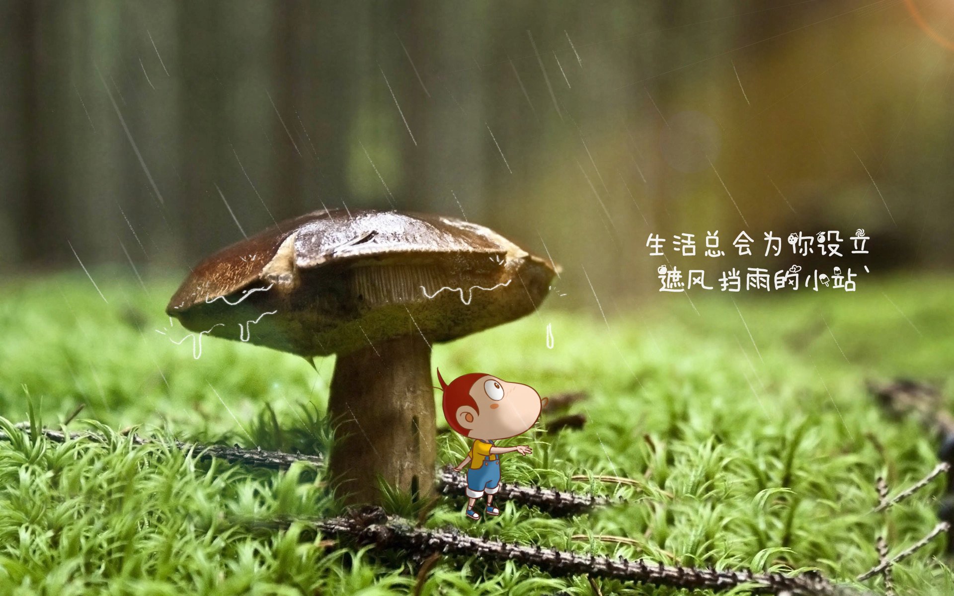 VALORANT 多国战队激烈角逐，valorant多少分赢