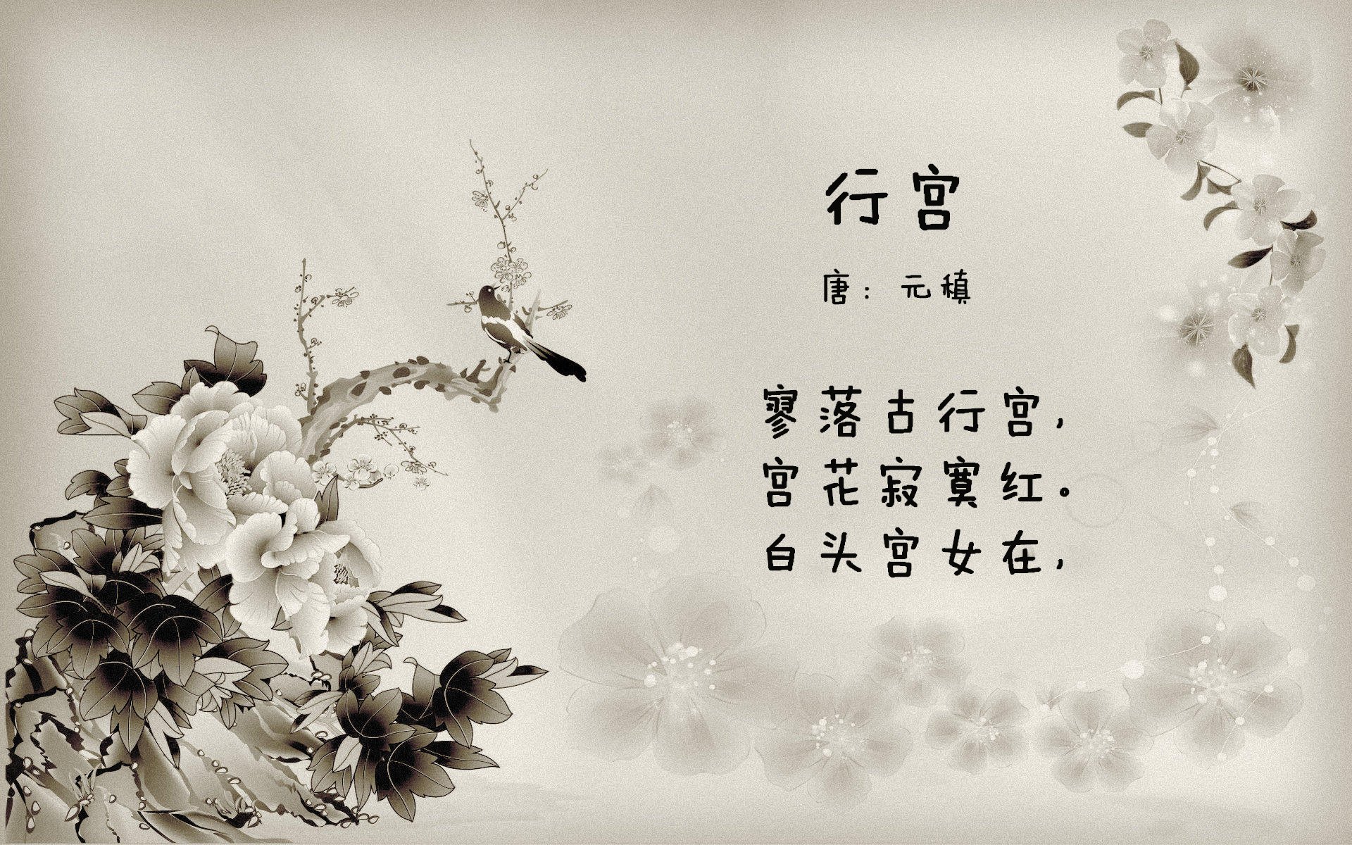 WRC文化交流：世界各地的拉力魅力，世界著名拉力赛道