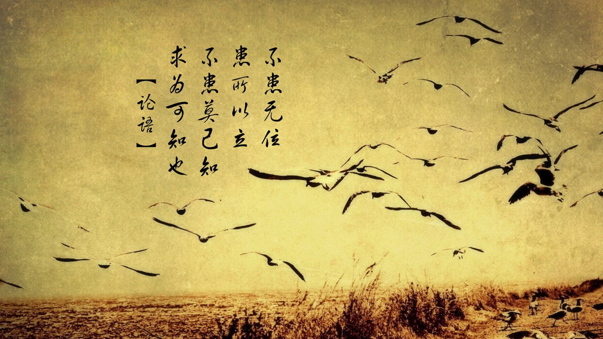 末节关键时刻：王强两记三分稳定军心，北京队战胜上海！，北京王强鸽舍比赛成绩