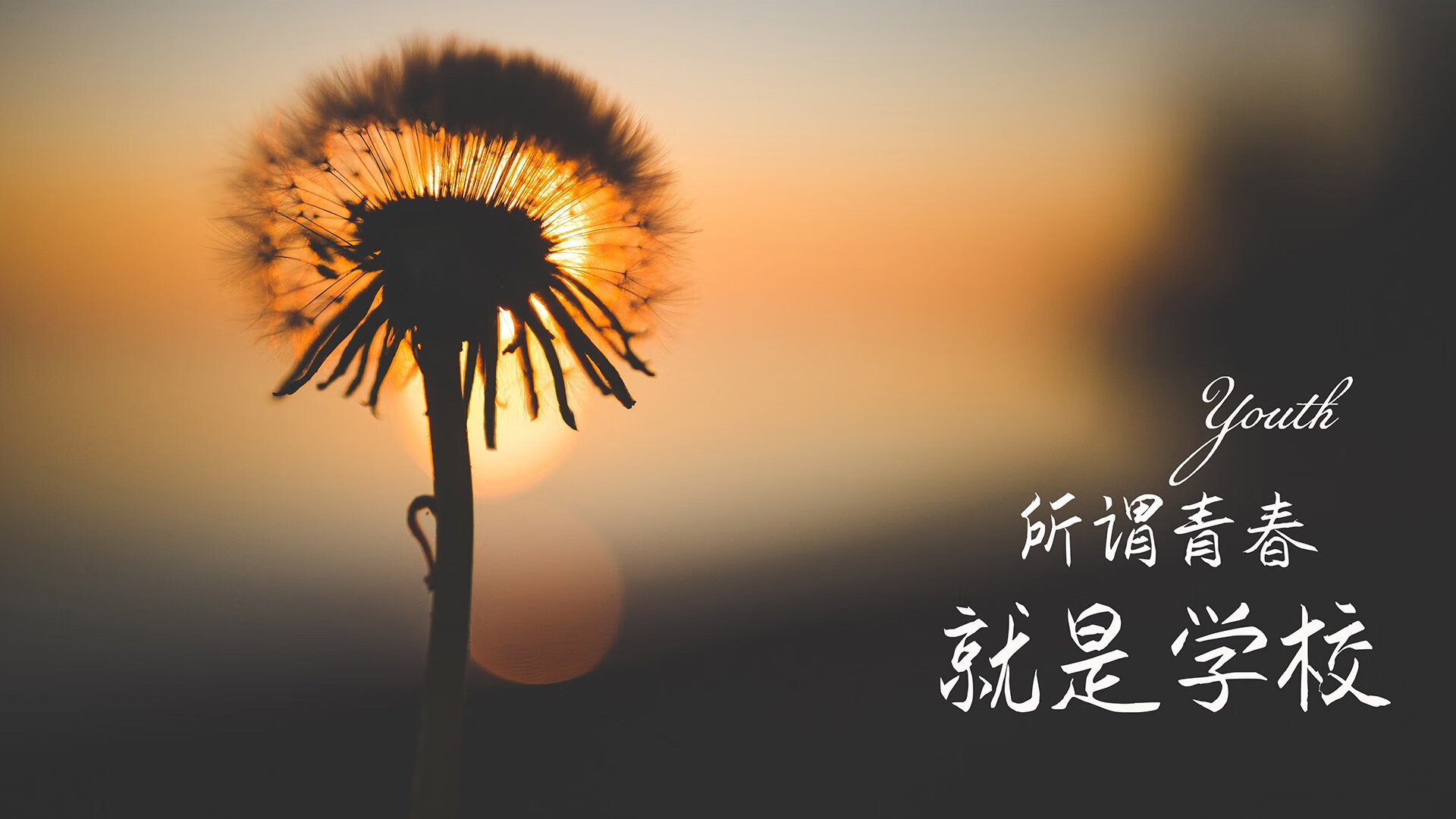 意外游泳主场赛事取消，意外游泳主场赛事取消原因