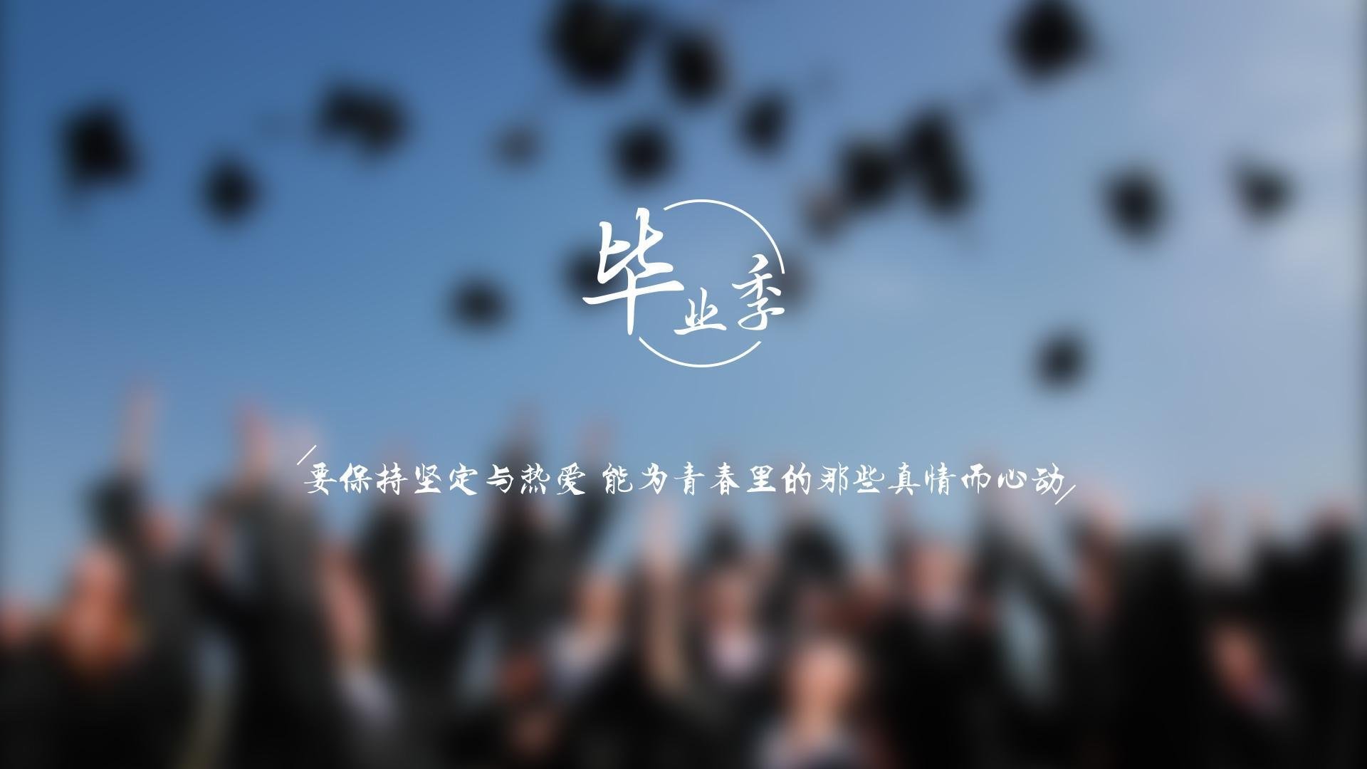 荷兰联赛新势力崛起，追逐欧洲冠军，荷兰队比赛视频