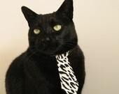 Chinese Taipei团队未来：实现更广泛的国际化发展，chinese of taipei