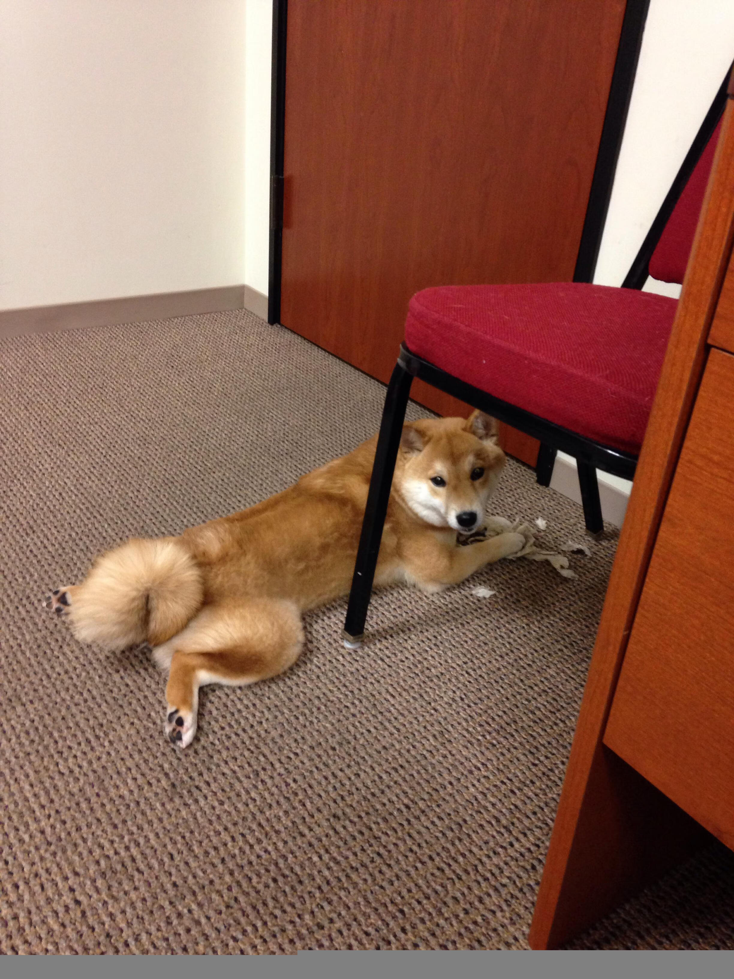 中国男篮防守强度亟需恢复曾经硬度,中国男篮防守悍将