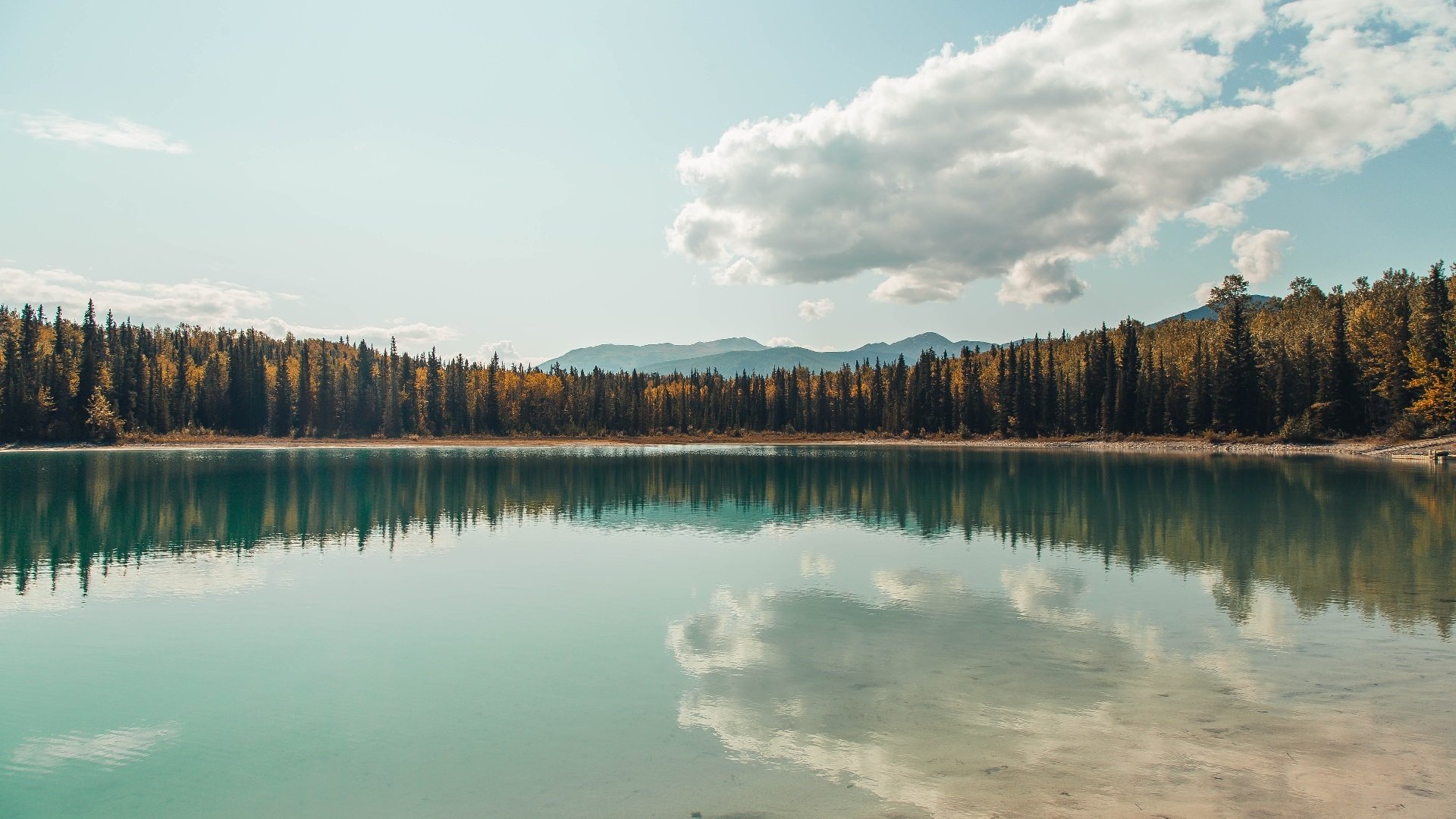 kaiyun网站-五大联赛是否通过合理换人节奏干扰对手战术部署，五大联赛可以换5人