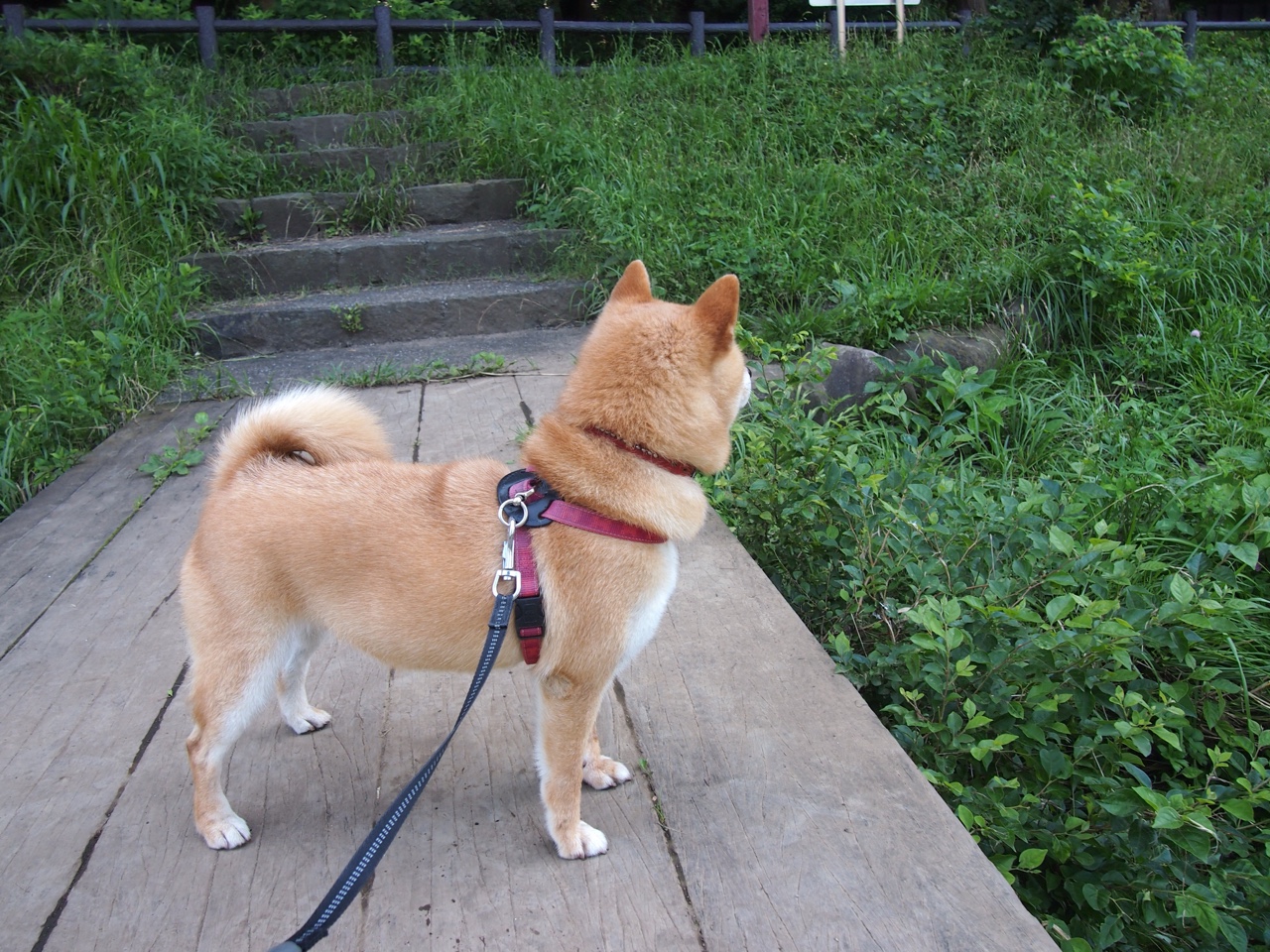 开云官网APP下载-职业联赛观赏性下降影响市场吸引力，职业联赛靠什么赚钱