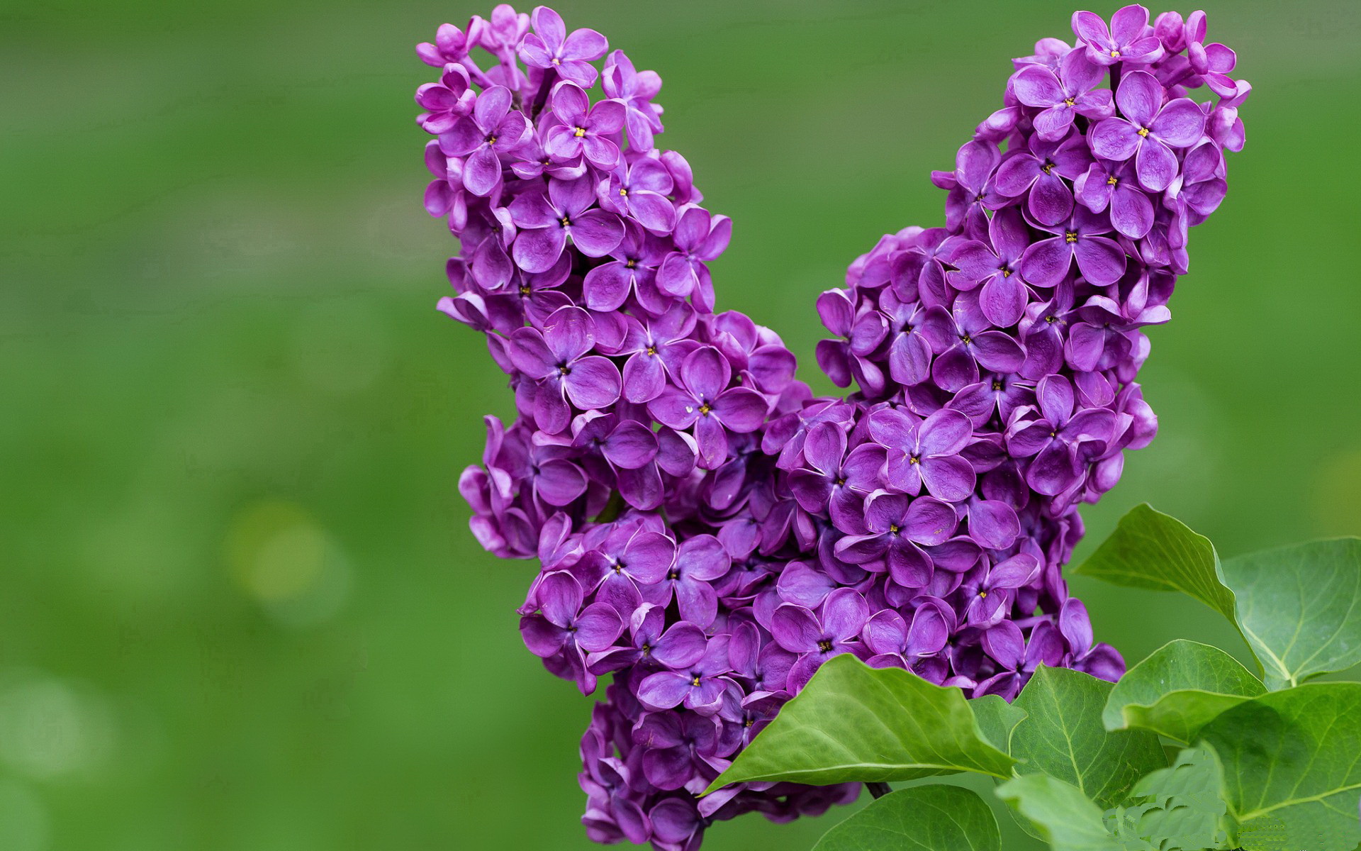 中超夏训重点安排体能储备提升赛季后程竞争力，中超夏天休赛吗