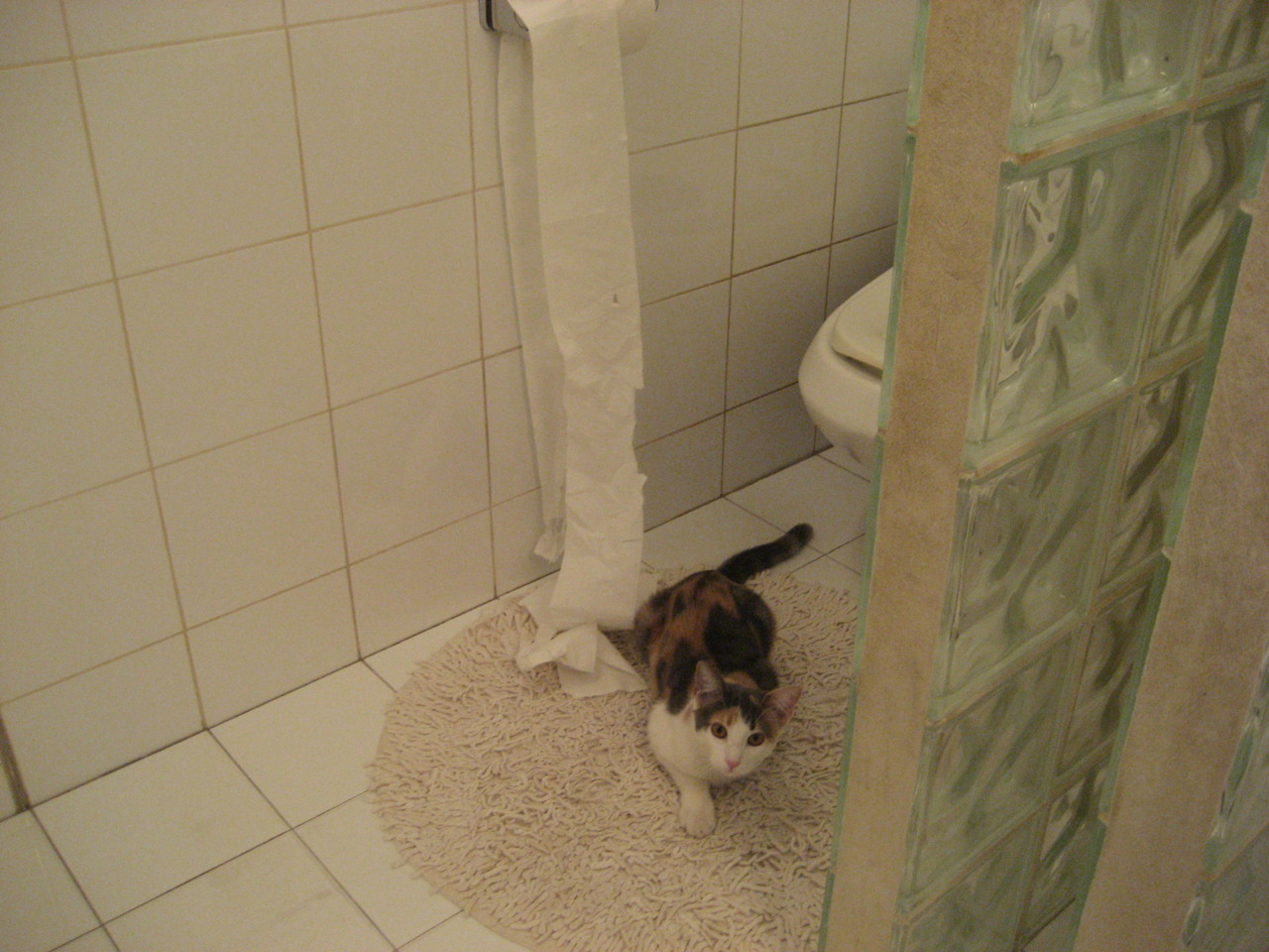 中超夏训重点安排体能储备提升赛季后程竞争力，中超夏天休赛吗