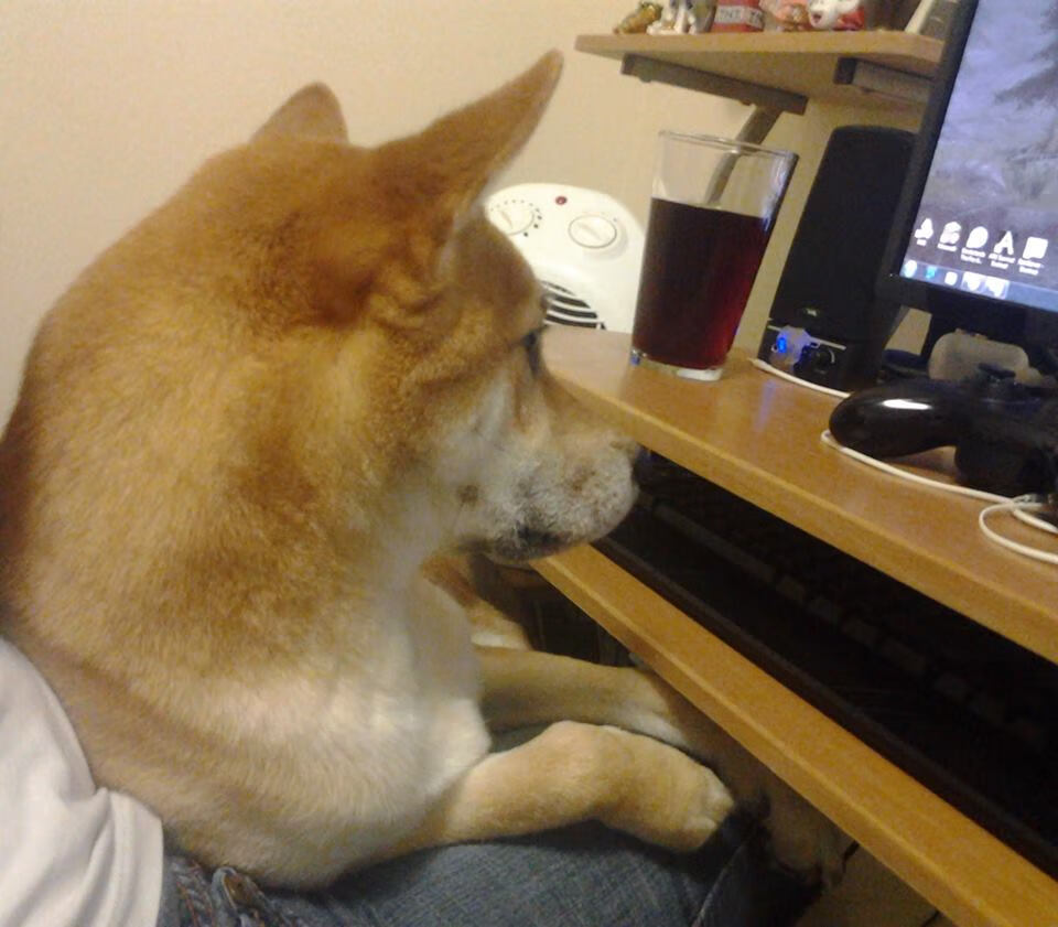 kaiyun.com-卢旺达女篮在非洲锦标赛中大放异彩，创历史佳绩