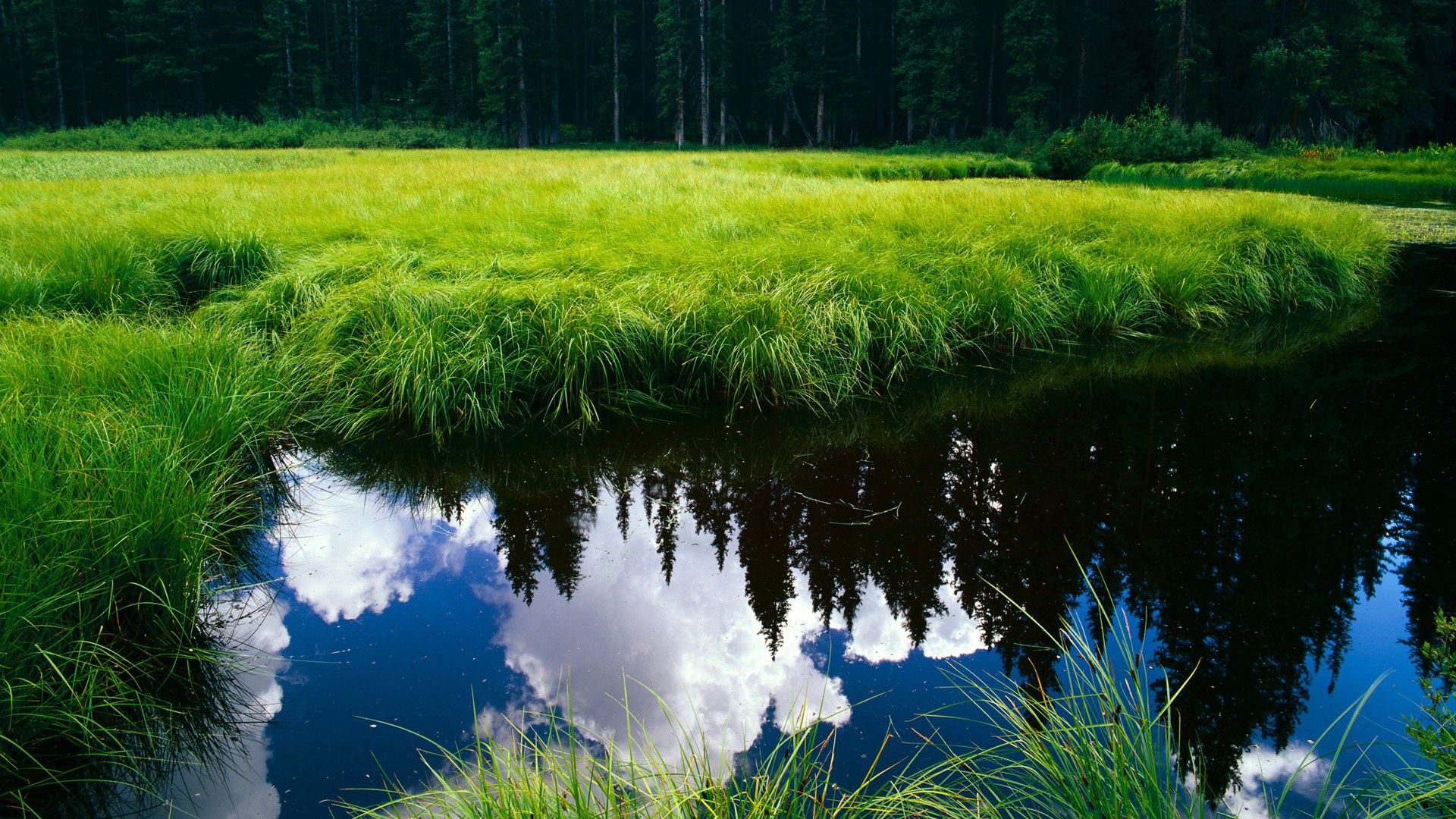 巴林男篮在西亚锦标赛中再次夺冠，体育成就不断提升