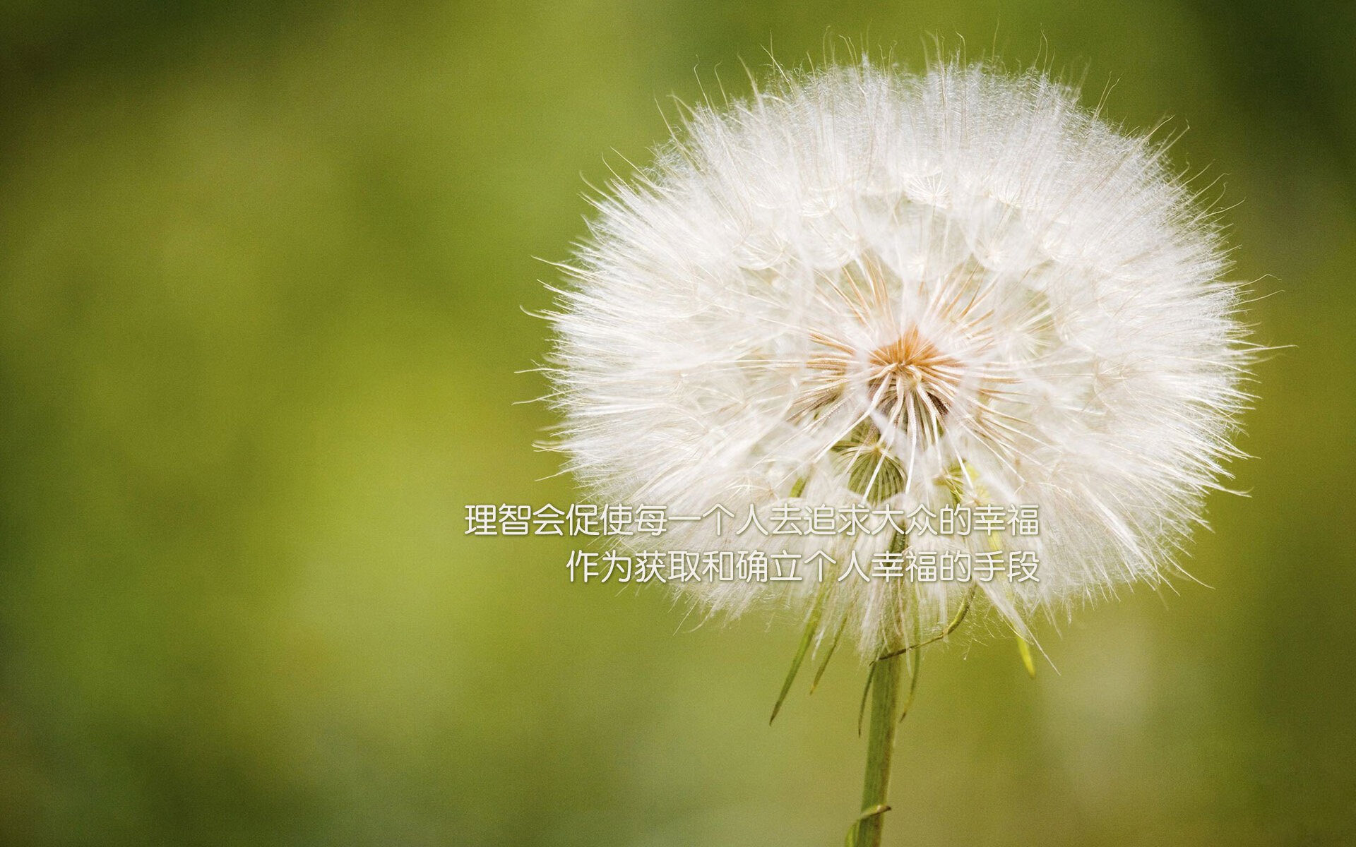 新闻中心及时发布赛事直播平台播出时间及链接，新闻在线直播间