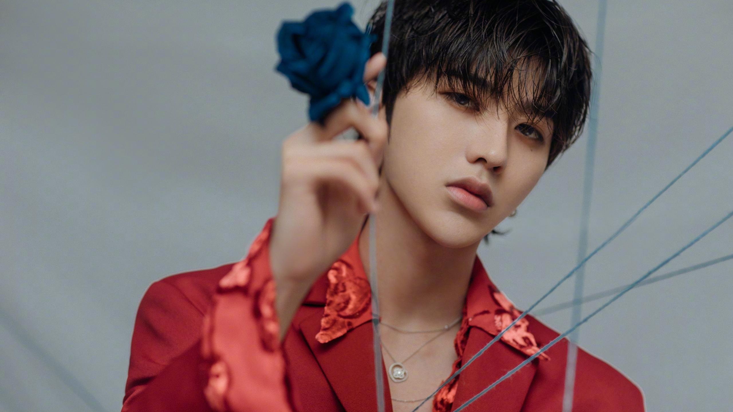 波波维奇泳姿流畅动作细腻获赞，波波维奇游泳运动员