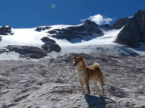 澳大利亚橄榄球赛事的转播权价值激增,全球关注度不断上升,一场令人激动的澳式橄榄球比赛